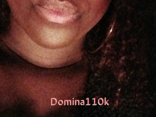 Domina110k