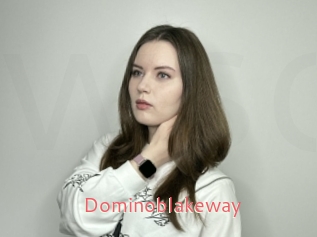 Dominoblakeway