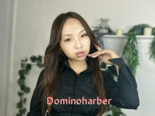 Dominoharber