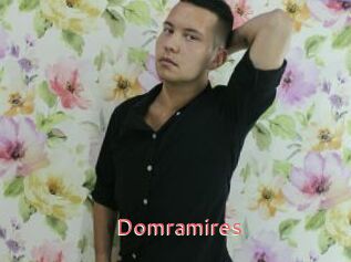 Domramires