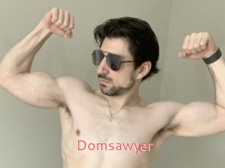 Domsawyer
