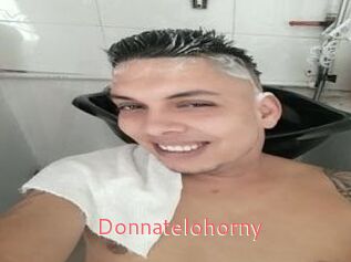 Donnatelohorny