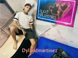 Dylandmartinez