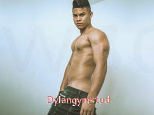 Dylangymstud