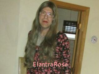 Elantra_Rose