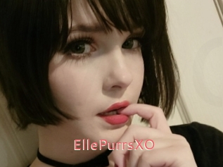 EllePurrsXO