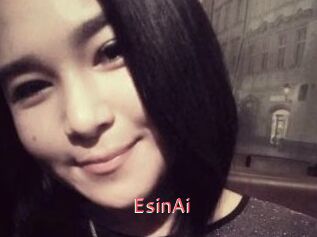 EsinAi