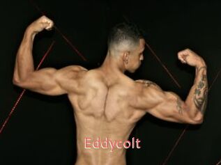 Eddycolt