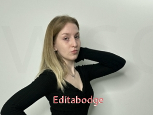 Editabodge
