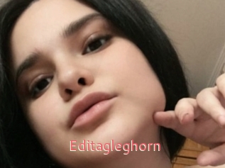 Editagleghorn