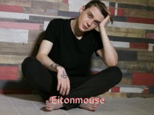 Eitonmouse
