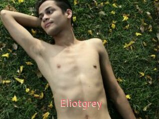 Eliotgrey
