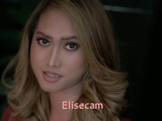 Elisecam
