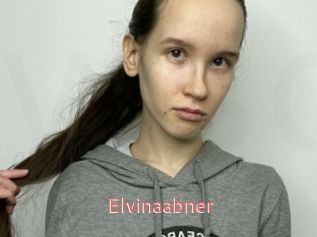 Elvinaabner