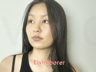 Elvinaborer
