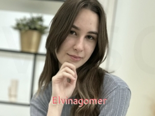 Elvinagomer