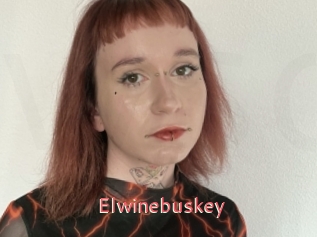 Elwinebuskey