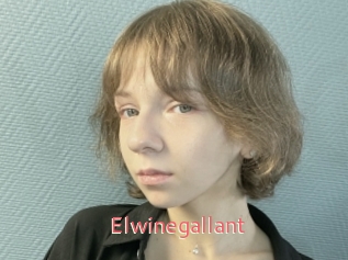 Elwinegallant