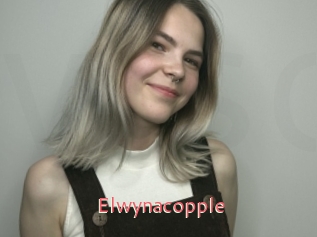 Elwynacopple