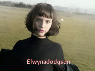 Elwynadodgson