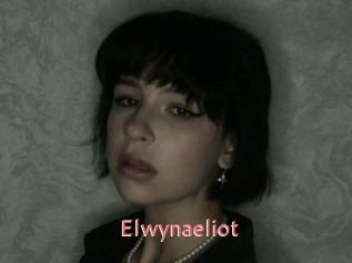 Elwynaeliot