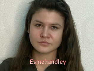 Esmehandley