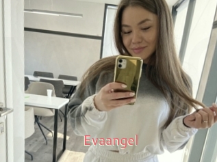Evaangel