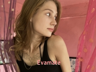 Evamate