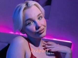 Evapurr