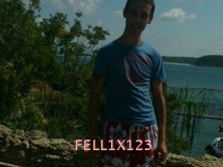 FELL1X123