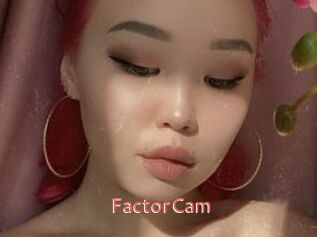 FactorCam