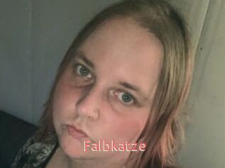 Falbkatze