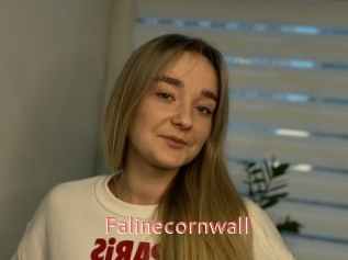 Falinecornwall