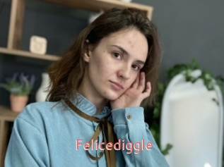 Felicediggle