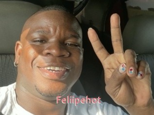 Feliipehot