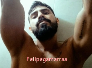 Felipegamarraa