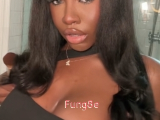 Fung8e