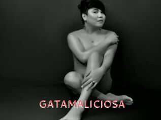 GATAMALICIOSA