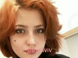GarminViV