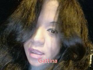 Gattina