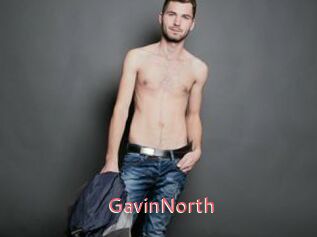 GavinNorth