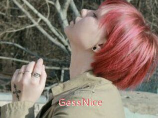 GessNice