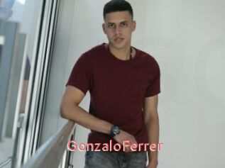 GonzaloFerrer