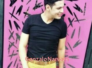 GonzaloNarvaes