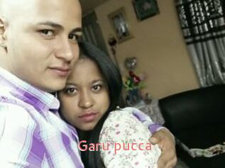 Garu_pucca