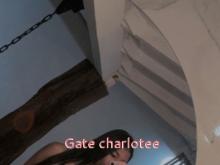 Gate_charlotee