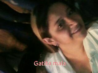 Gatita_mala