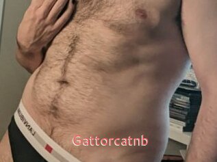 Gattorcatnb