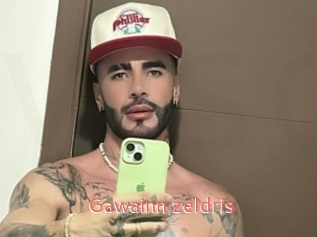 Gawainn_zeldris