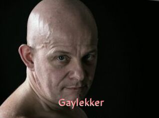 Gaylekker